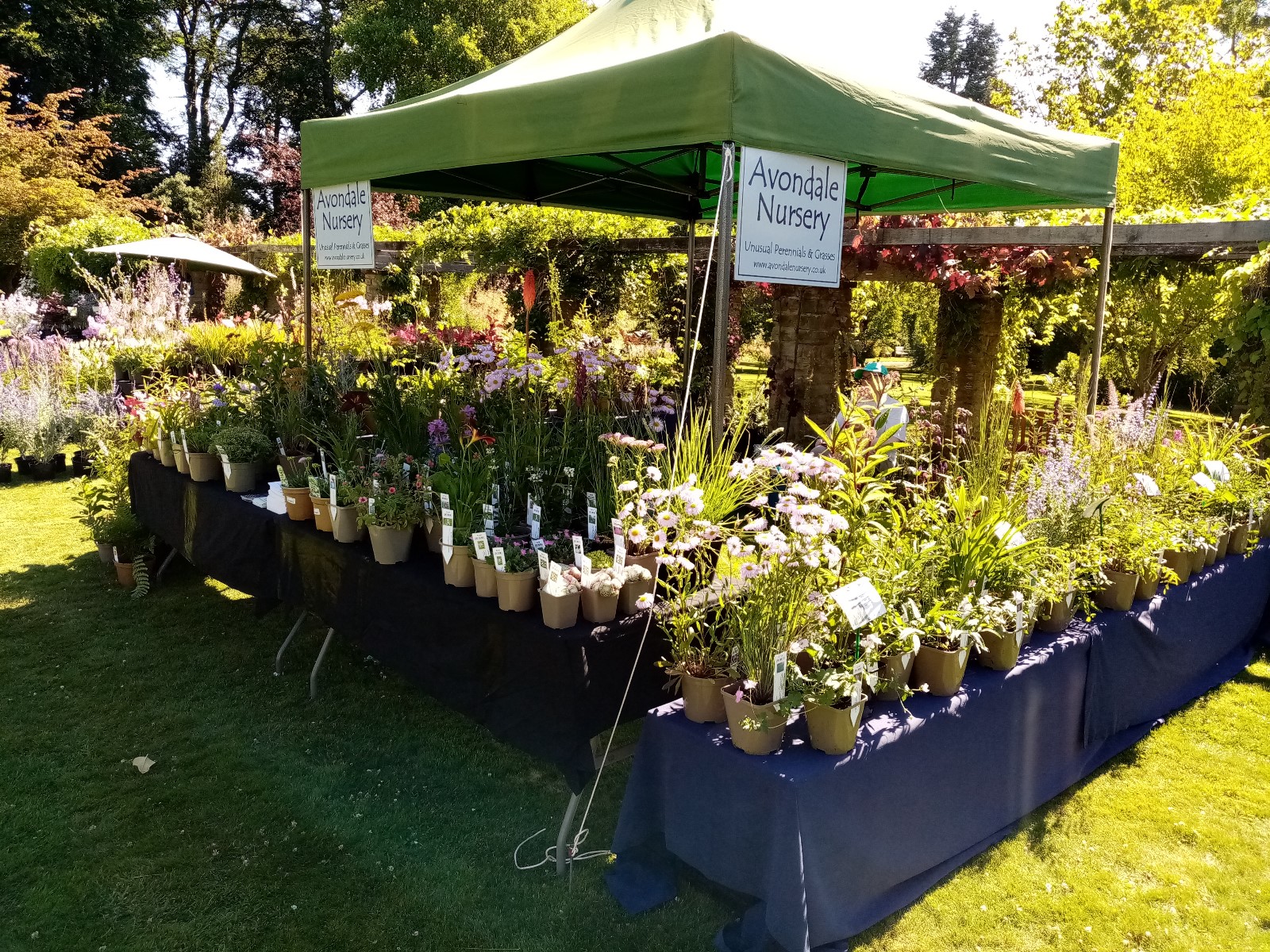 Rare Plant Fair